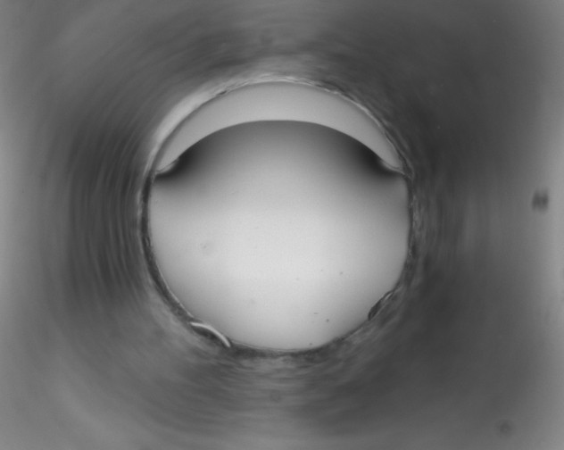 X0000115200100200911251453