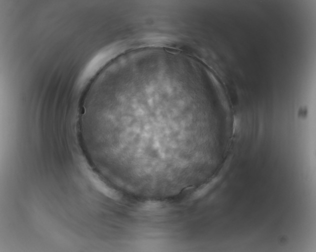 X0000115200101200911251453
