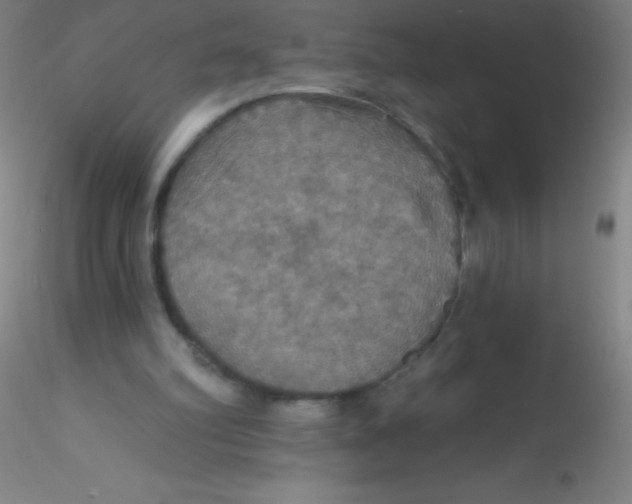 X0000115200102200911251453