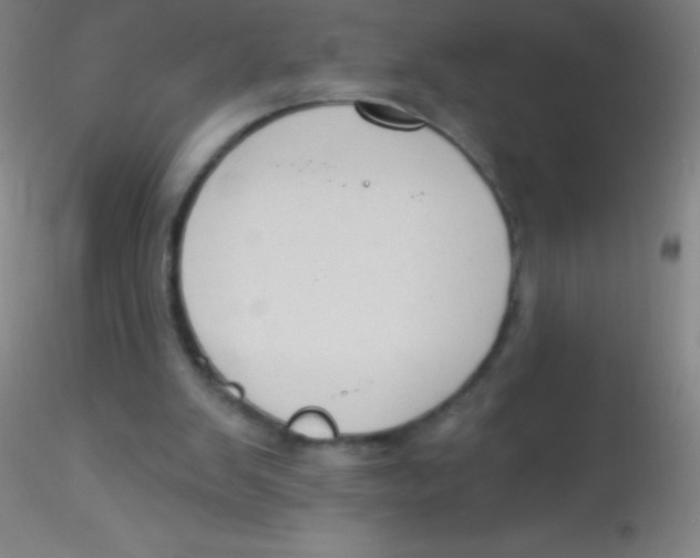 X0000115200103200911251453