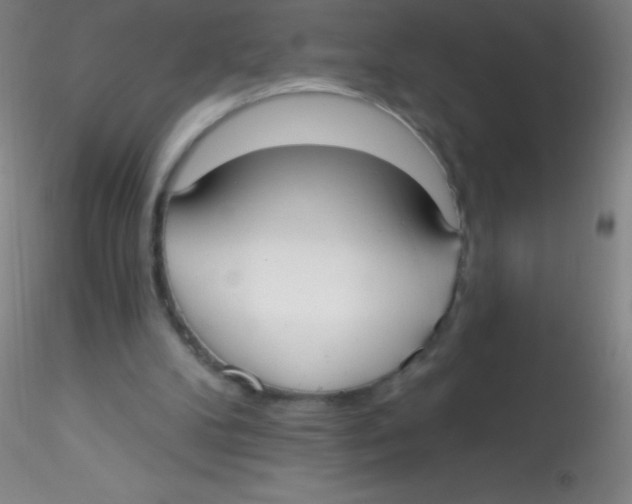 X0000115200104200911251453