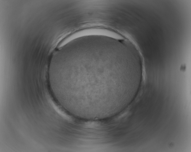 X0000115200105200911251453