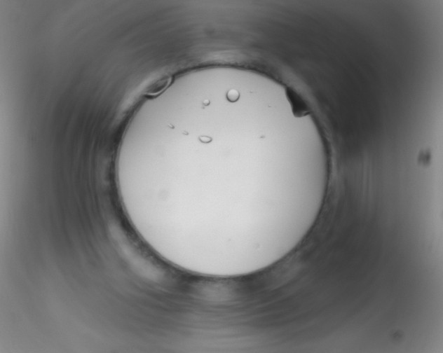 X0000115200106200911251453