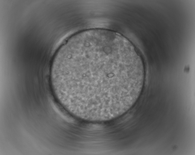 X0000115200107200911251453