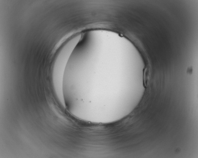 X0000115200108200911251453