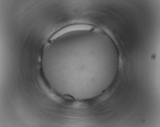 X0000115200109200911251453