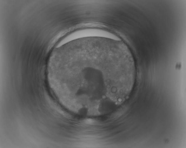 X0000115200111200911251453