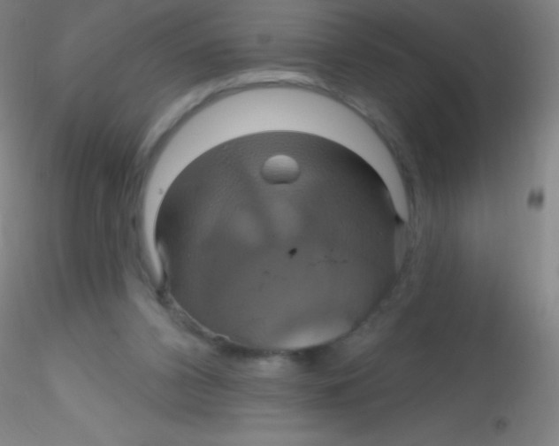 X0000115200112200911251453