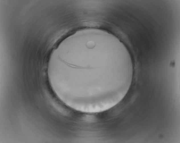 X0000115200114200911251452