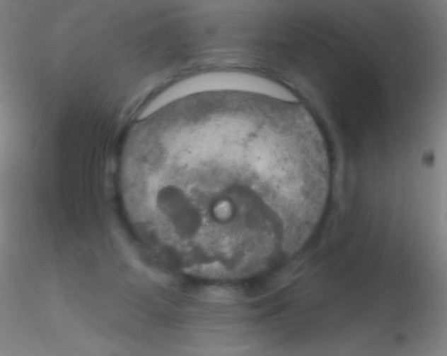 X0000115200115200911251452