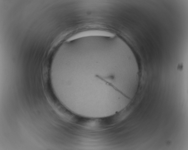 X0000115200116200911251452