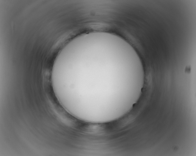 X0000115200117200911251452