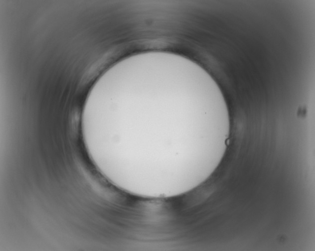 X0000115200118200911251452