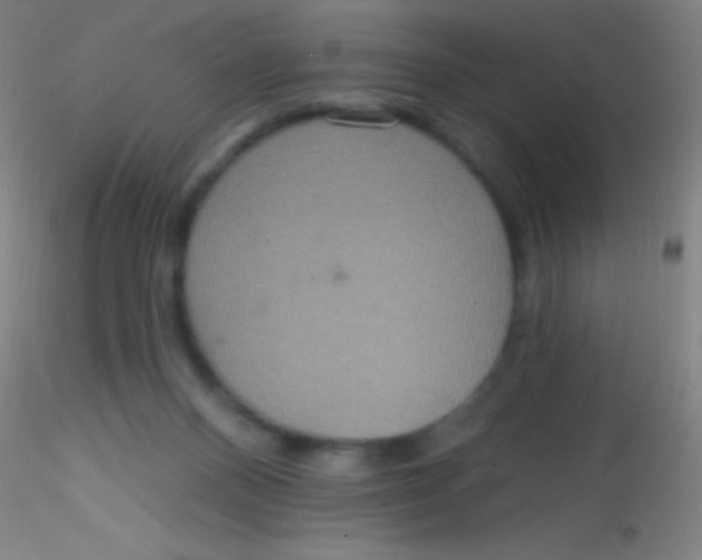 X0000115200120200911251452