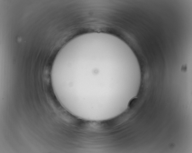 X0000115200121200911251452