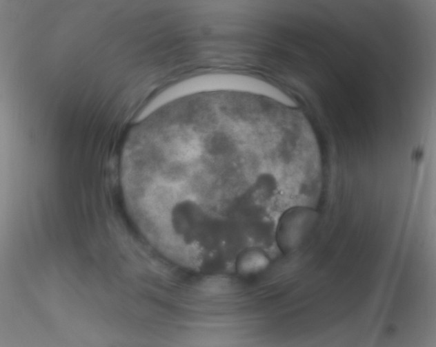 X0000115200123200911251452