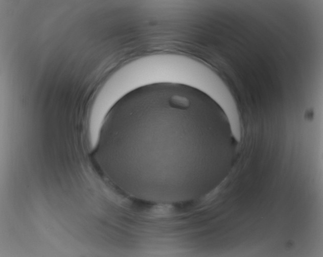 X0000115200124200911251452