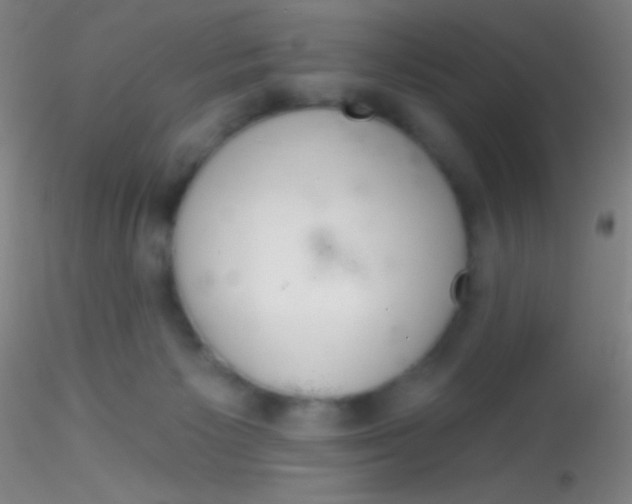 X0000115200125200911251452