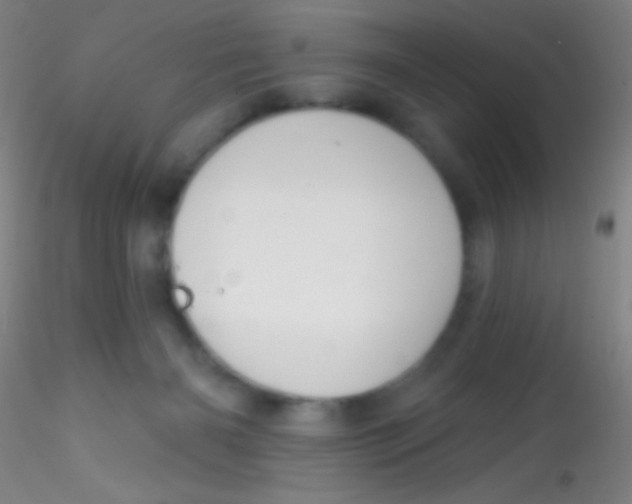 X0000115200126200911251452