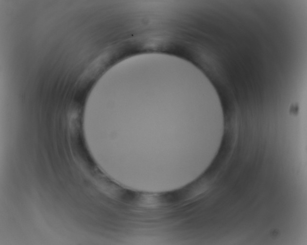 X0000115200127200911251452