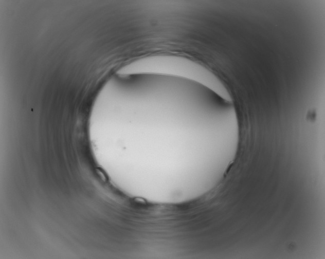 X0000115200128200911251452