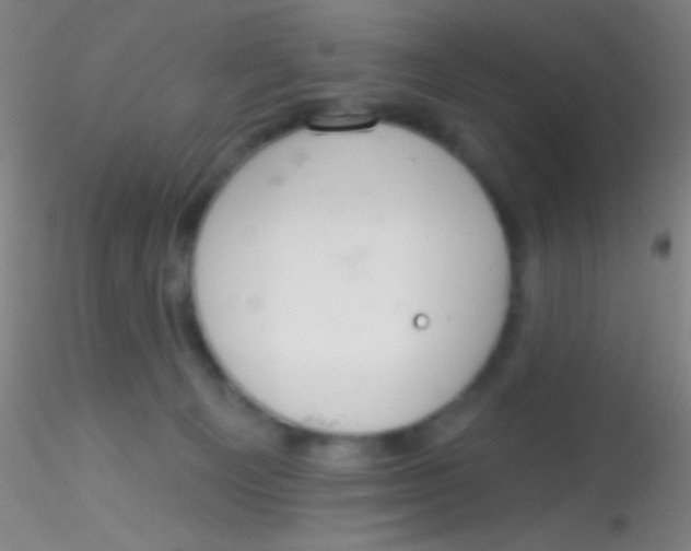 X0000115200129200911251452