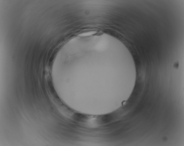 X0000115200130200911251452