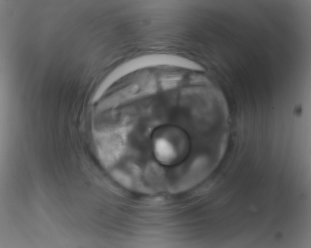 X0000115200131200911251452