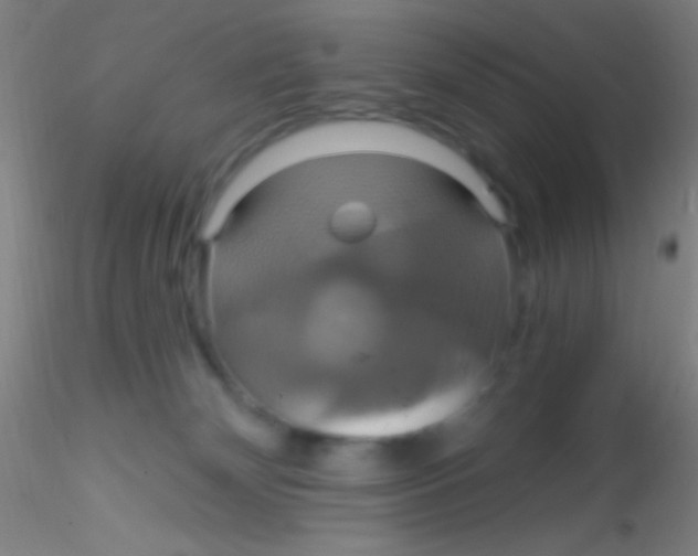 X0000115200132200911251452