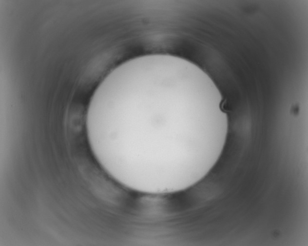 X0000115200133200911251452