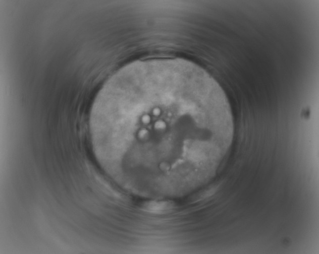 X0000115200135200911251452