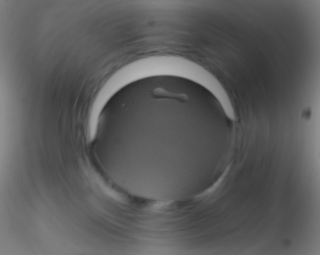 X0000115200136200911251452