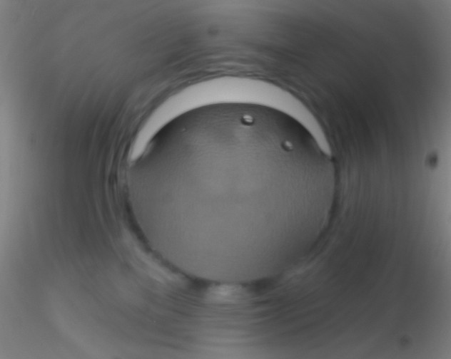 X0000115200137200911251452
