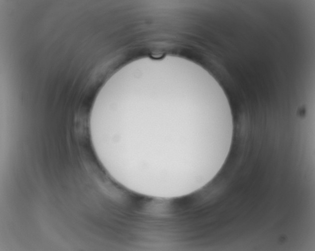 X0000115200138200911251452