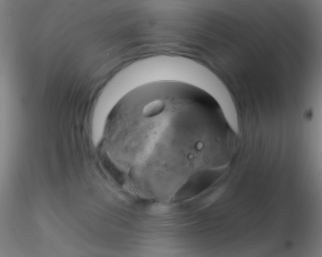 X0000115200139200911251452