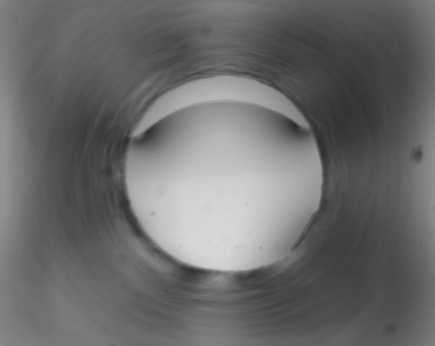 X0000115200140200911251452