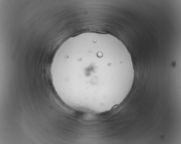 X0000115200141200911251452