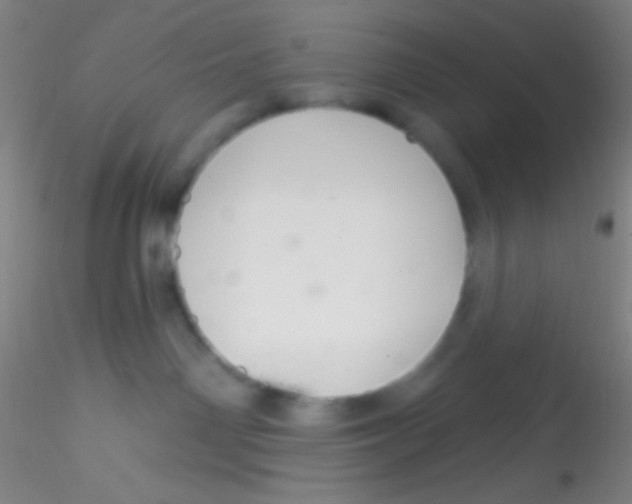 X0000115200142200911251452