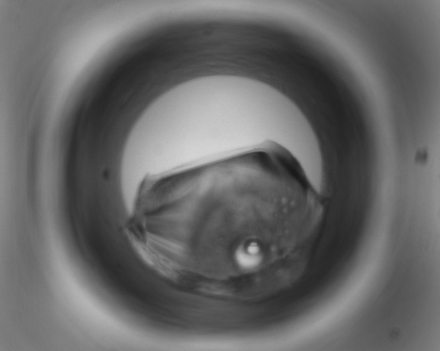 X0000115200143200911251452