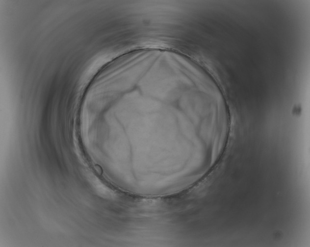 X0000115200145200911251451