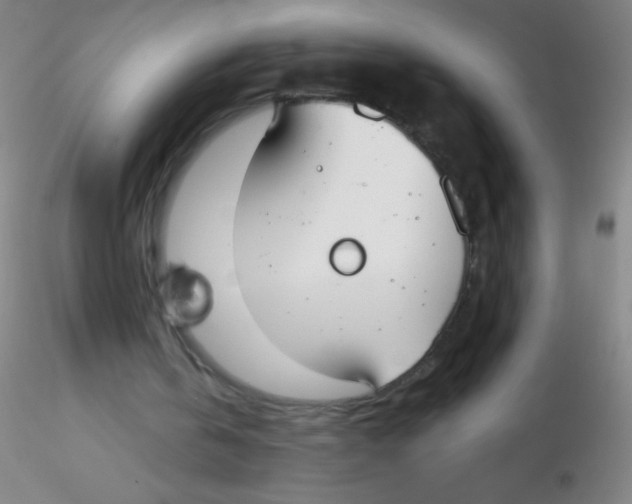 X0000115200146200911251451
