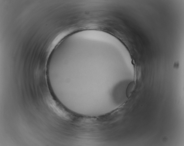 X0000115200147200911251451