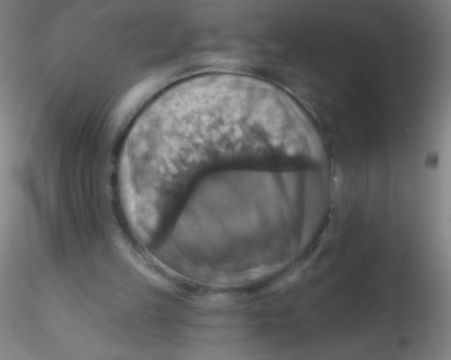 X0000115200149200911251451