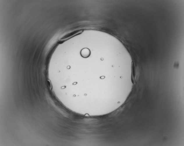X0000115200150200911251451