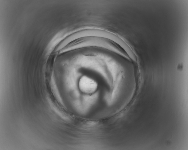 X0000115200151200911251451