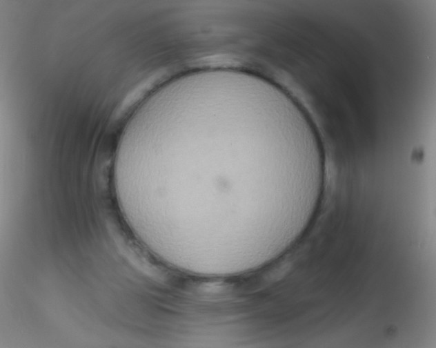 X0000115200153200911251451