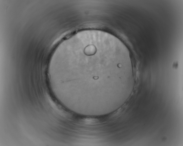 X0000115200154200911251451