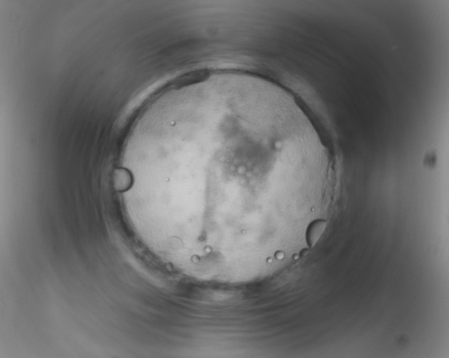 X0000115200155200911251451