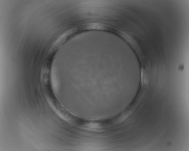 X0000115200157200911251451
