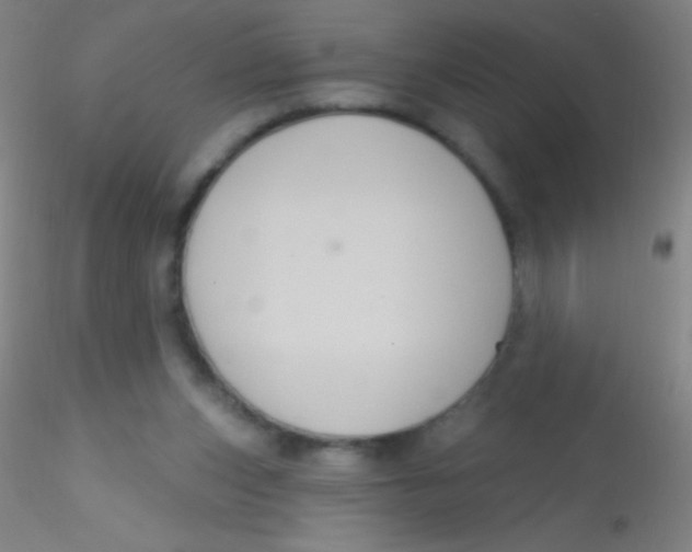 X0000115200159200911251451